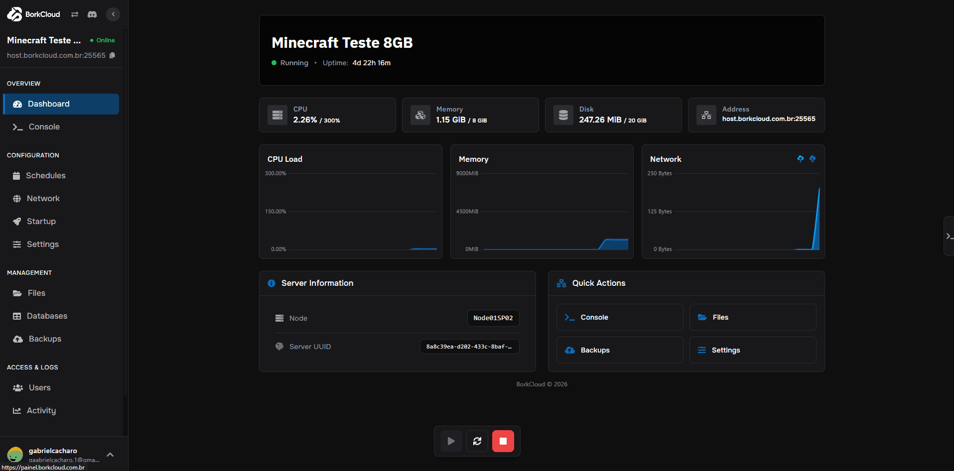 Painel de controle do servidor Minecraft BorkCloud com gestão de mods e database