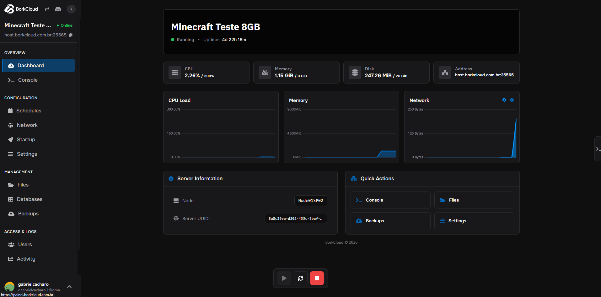 Painel de Controle BorkCloud